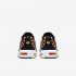 Nike Air Max Plus | Dark Grey / Total Orange / White / Wolf Grey