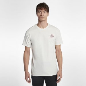 Hurley Paradise Script | Sail