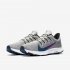 Nike Quest 2 | Light Smoke Grey / Black / Vivid Purple / Valerian Blue