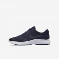 Nike Revolution 4 | Neutral Indigo / Obsidian / Black / Light Carbon