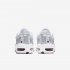 Nike Air Max Tailwind IV | Pure Platinum / Light Redwood / White / Metallic Silver