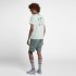 Nike SB Dri-FIT | Barely Grey / Kinetic Green