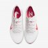 Nike Zoom Pegasus Turbo 2 | Platinum Tint / White / Light Smoke Grey / Laser Crimson