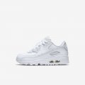 Nike Air Max 90 Leather | White / White