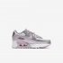 Nike Air Max 90 | Particle Grey / Photon Dust / White / Iced Lilac