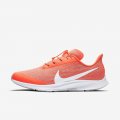 Nike Pegasus 36 FlyEase (Extra Wide) | Laser Crimson / Light Smoke Grey / Photon Dust / White