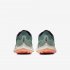 Nike Zoom Pegasus 36 Trail GORE-TEX | Bicoastal / Silver Pine / Light Bone / Off Noir
