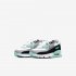 Nike Air Max 90 | White / Light Smoke Grey / Hyper Turquoise / Particle Grey