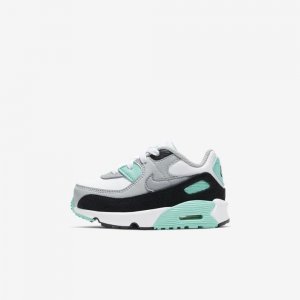 Nike Air Max 90 | White / Light Smoke Grey / Hyper Turquoise / Particle Grey