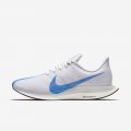 Nike Zoom Pegasus 35 Turbo | Sail / Light Bone / Blue Void / Blue Hero