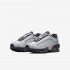 Nike Air Max Tailwind 4 SE | Wolf Grey / Pure Platinum / Off Noir / Metallic Silver