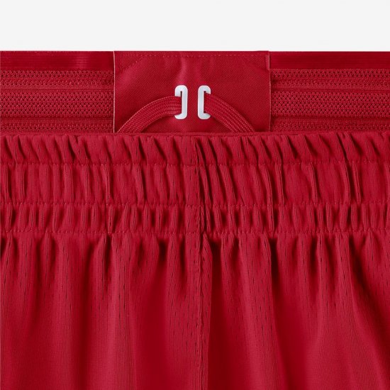 Toronto Raptors Nike Icon Edition Authentic | University Red / White - Click Image to Close