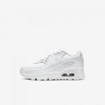 Nike Air Max 90 | White / Metallic Silver / White / White