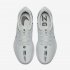 Nike Air Zoom Pegasus 36 | Pure Platinum / White / Black