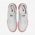 Nike Lunar Gato II IC | Platinum Tint / Bright Crimson / Atmosphere Grey / Black