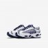 Nike Air Max Tailwind IV | White / Deep Royal Blue / Wolf Grey / White