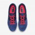 Nike Premier 2 Sala IC | Blue Void / Laser Crimson / White / Blue Void