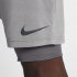 Nike Run Division Flex Stride 2-in-1 | Atmosphere Grey / Gunsmoke