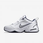 Nike Air Monarch IV | White / Metallic Silver