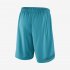 Charlotte Hornets Jordan Icon Edition Swingman | Rapid Teal / New Orchid / White