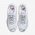 Nike Air Max Tailwind IV | Pure Platinum / Light Redwood / White / Metallic Silver