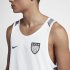 Nike Dri-FIT LeBron | White / Cool Grey