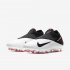 Nike Phantom Vision 2 Elite Dynamic Fit FG | White / Laser Crimson / Black