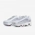 Nike Air Max Tailwind IV | Pure Platinum / Light Redwood / White / Metallic Silver