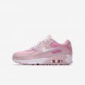 Nike Air Max 90 | Pink Foam / Pink Rise / White