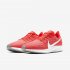 Nike Air Zoom Pegasus 36 | Laser Crimson / Light Smoke Grey / White