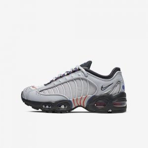 Nike Air Max Tailwind 4 SE | Wolf Grey / Pure Platinum / Off Noir / Metallic Silver