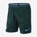 2017/18 Manchester City FC Vapor Match Third | Outdoor Green / Field Blue