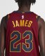 Cleveland Cavaliers Icon Edition Authentic (Cleveland Cavaliers) | Team Red