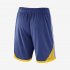Golden State Warriors Nike Icon Edition Authentic | Rush Blue / White