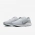 Nike Zoom Pegasus Turbo 2 | Pure Platinum / Wolf Grey / White / Ocean Cube