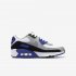 Nike Air Max 90 LTR | White / Light Smoke Grey / Hyper Royal / Particle Grey