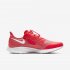 Nike Air Zoom Pegasus 36 FlyEase | Laser Crimson / Light Smoke Grey / Photon Dust / White