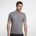 Nike Dri-FIT Rise 365 | Gunsmoke / Heather / Metallic Silver