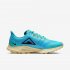 Nike Air Zoom Pegasus 36 Trail | Light Current Blue / Teal Nebula / Celestial Gold / Oil Grey