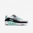 Nike Air Max 90 LTR | White / Light Smoke Grey / Hyper Turquoise / Particle Grey