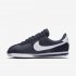 Nike Cortez Basic Nylon | Obsidian / Metallic Silver / White