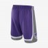 Sacramento Kings Nike Icon Edition Swingman | Field Purple / Dark Steel Grey / White / White