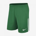 2017/18 Manchester City FC Stadium | Pine Green / White