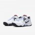 NikeCourt Lite 2 | White / Laser Crimson / Royal Pulse / Thunder Grey