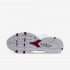 Nike Air Max Tailwind IV | Pure Platinum / Light Redwood / White / Metallic Silver