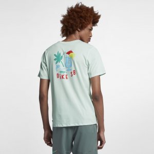 Nike SB Dri-FIT | Barely Grey / Kinetic Green