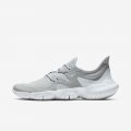 Nike Free RN 5.0 | Wolf Grey / Pure Platinum / White