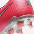 Nike Jr. Phantom Venom Elite FG | Laser Crimson / Black / Metallic Silver