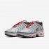 Nike Air Max Plus | Metallic Silver / Bright Crimson / Pink Foam / Black