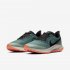Nike Zoom Pegasus 36 Trail GORE-TEX | Bicoastal / Silver Pine / Light Bone / Off Noir